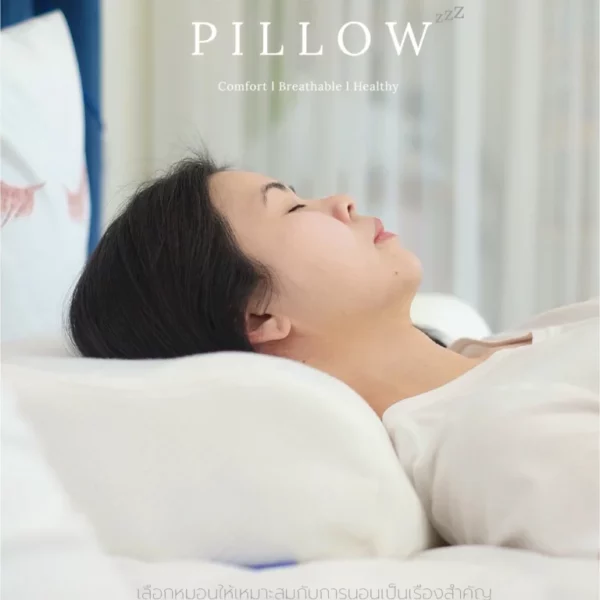 หมอนโอโซน (Adult Ozone Pillow XL)