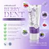 Berry Dent Hybrid Toothpaste