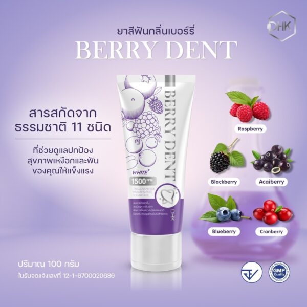 Berry Dent Hybrid Toothpaste